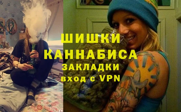 PSILOCYBIN Елизово