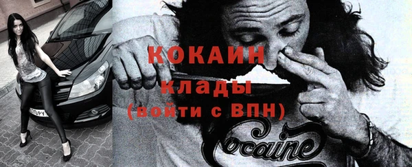 ешки Дмитриев