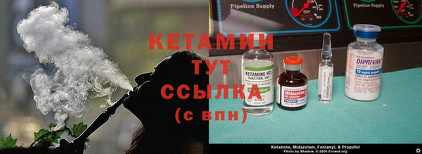 трава Дмитровск