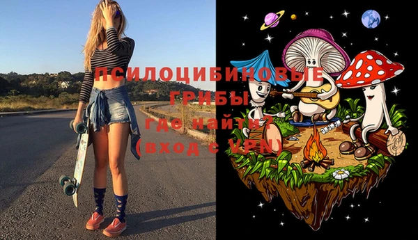 apvp Ельня