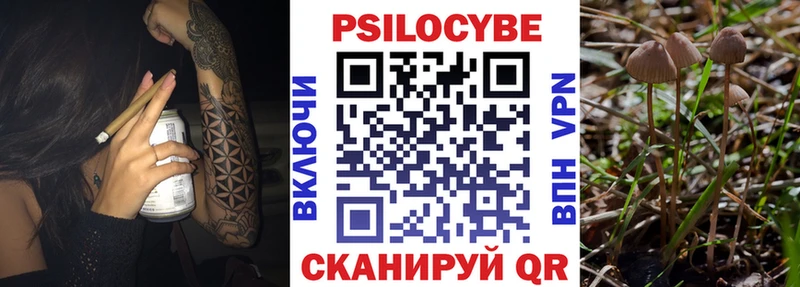где можно купить   Обнинск  Галлюциногенные грибы MAGIC MUSHROOMS 